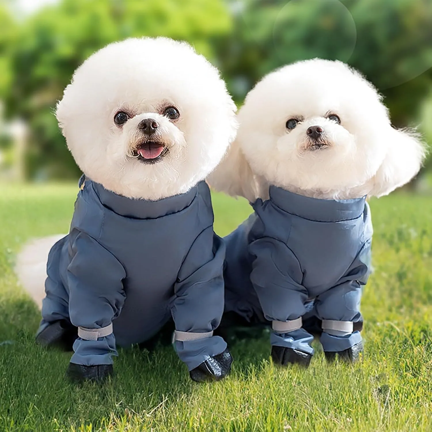 Dog Boot Leggings, Waterproof Dog Pants, Anti-Slip & Dirty-Proof Dog Shoes, Pet Paws Protector for Small Medium Dogs, Adjustable Suspender Boots for Dogs, Outdoor Walking Running Hiking Booties (S)