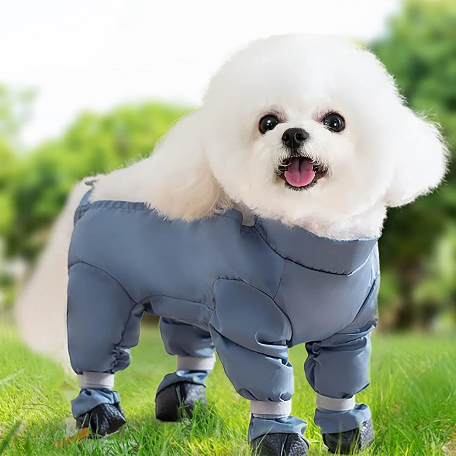 Dog Boot Leggings, Waterproof Dog Pants, Anti-Slip & Dirty-Proof Dog Shoes, Pet Paws Protector for Small Medium Dogs, Adjustable Suspender Boots for Dogs, Outdoor Walking Running Hiking Booties (S)