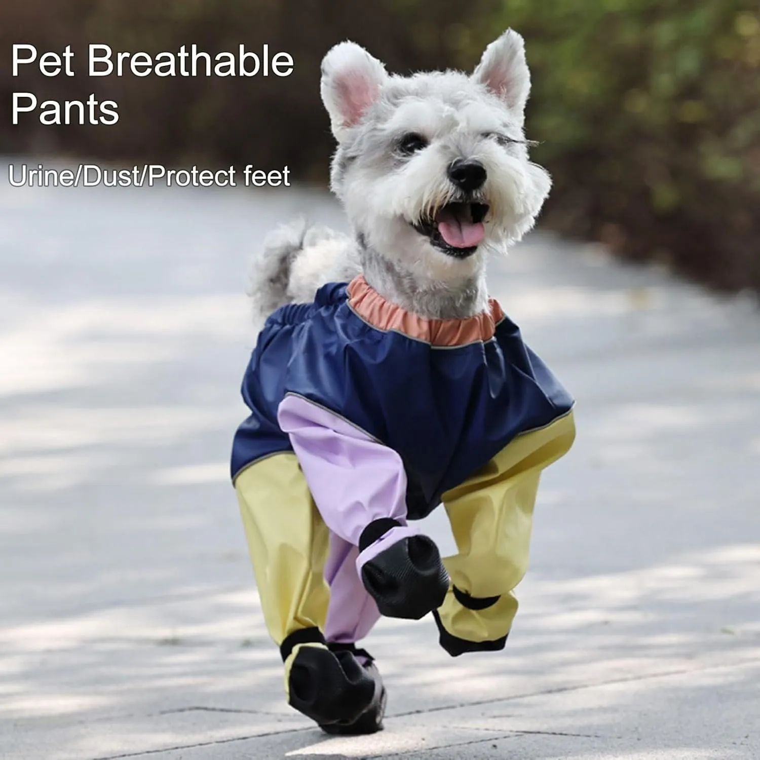 Dog Boots Leggings Waterproof Dog Pants Anti-Slip Dog Shoes Pet Paws Protector Dirty-Proof Dog Outdoor Walking Running Hiking Booties (B, S)