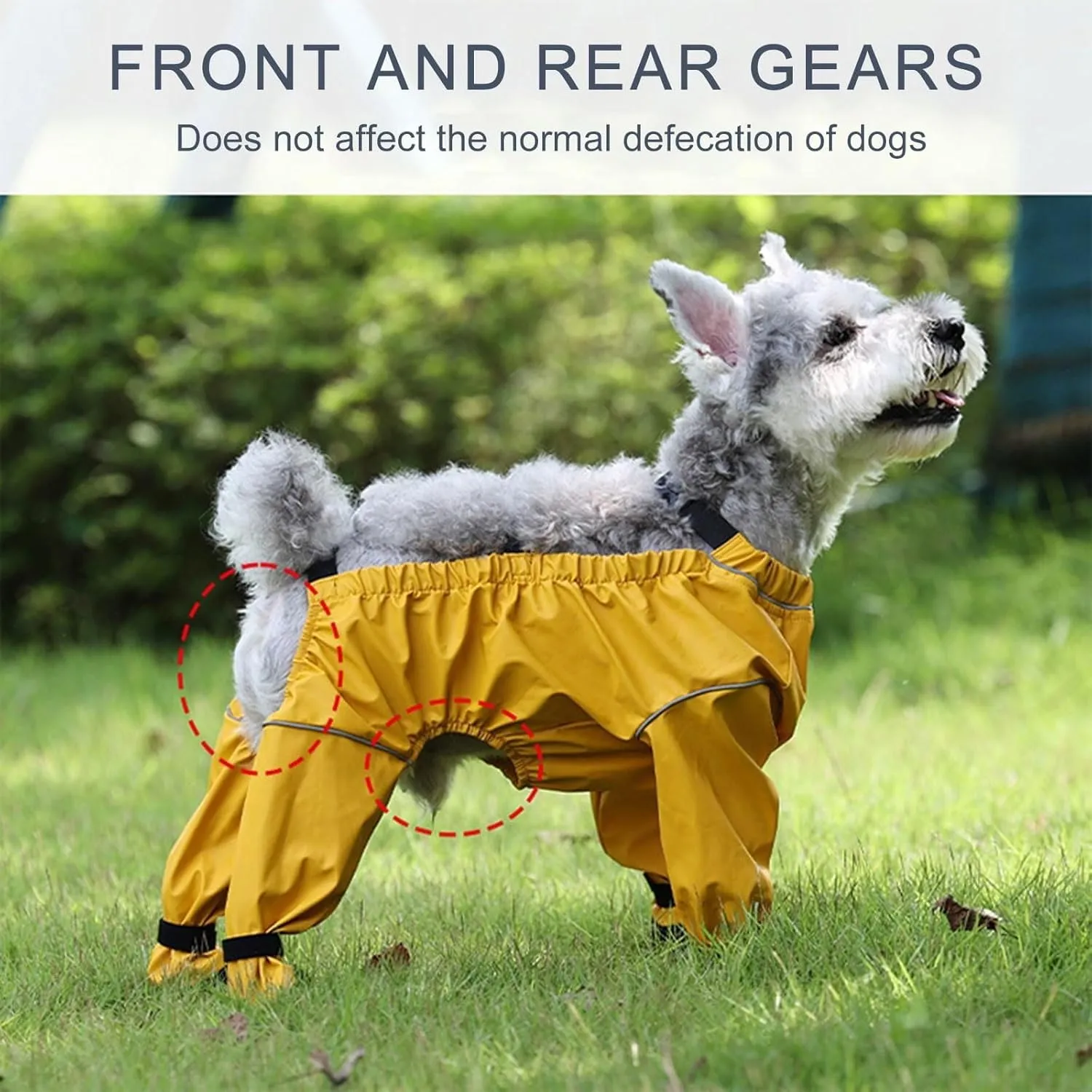 Dog Boots Leggings Waterproof Dog Pants Anti-Slip Dog Shoes Pet Paws Protector Dirty-Proof Dog Outdoor Walking Running Hiking Booties (B, S)