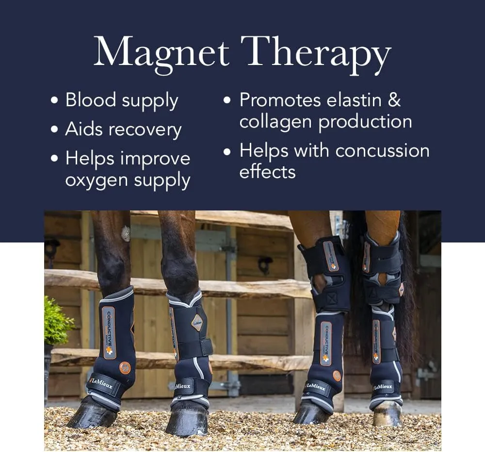 LeMieux Magno Horse Boots - Magnetic Therapy Conductive Boots Protective Gear and Training Equipment - Equine Boots, Wraps & Accessories