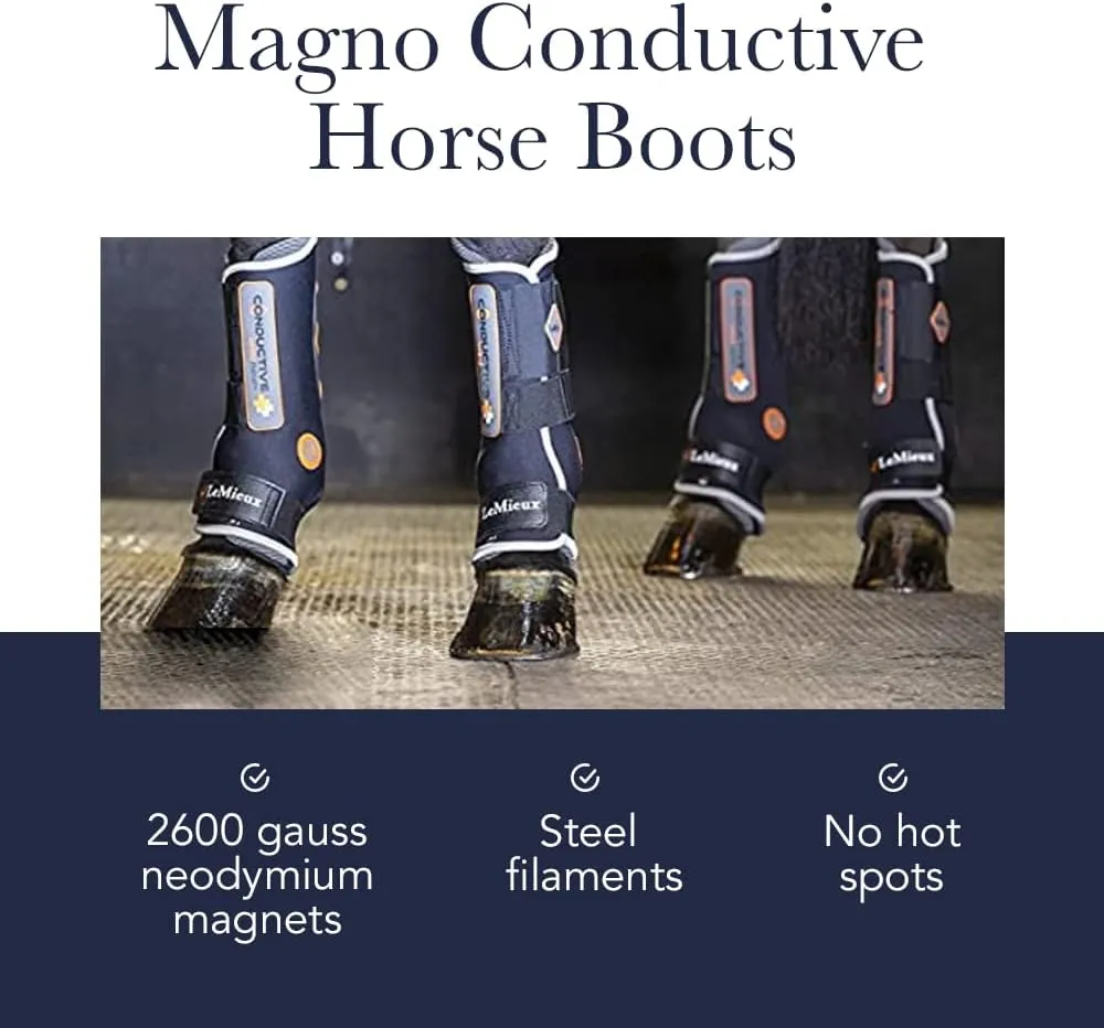 LeMieux Magno Horse Boots - Magnetic Therapy Conductive Boots Protective Gear and Training Equipment - Equine Boots, Wraps & Accessories