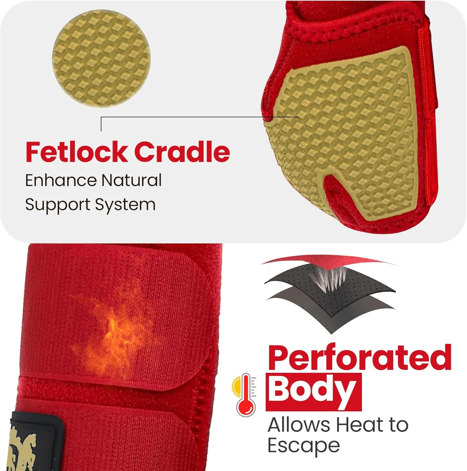 RS Premium Design Gold Line Horse Boots | Comfortable, Protective & Shock Absorber | Sport Boots for Horses Best for Jump Training | Ok Fabric 1682D Provides Ultimate Flexibility