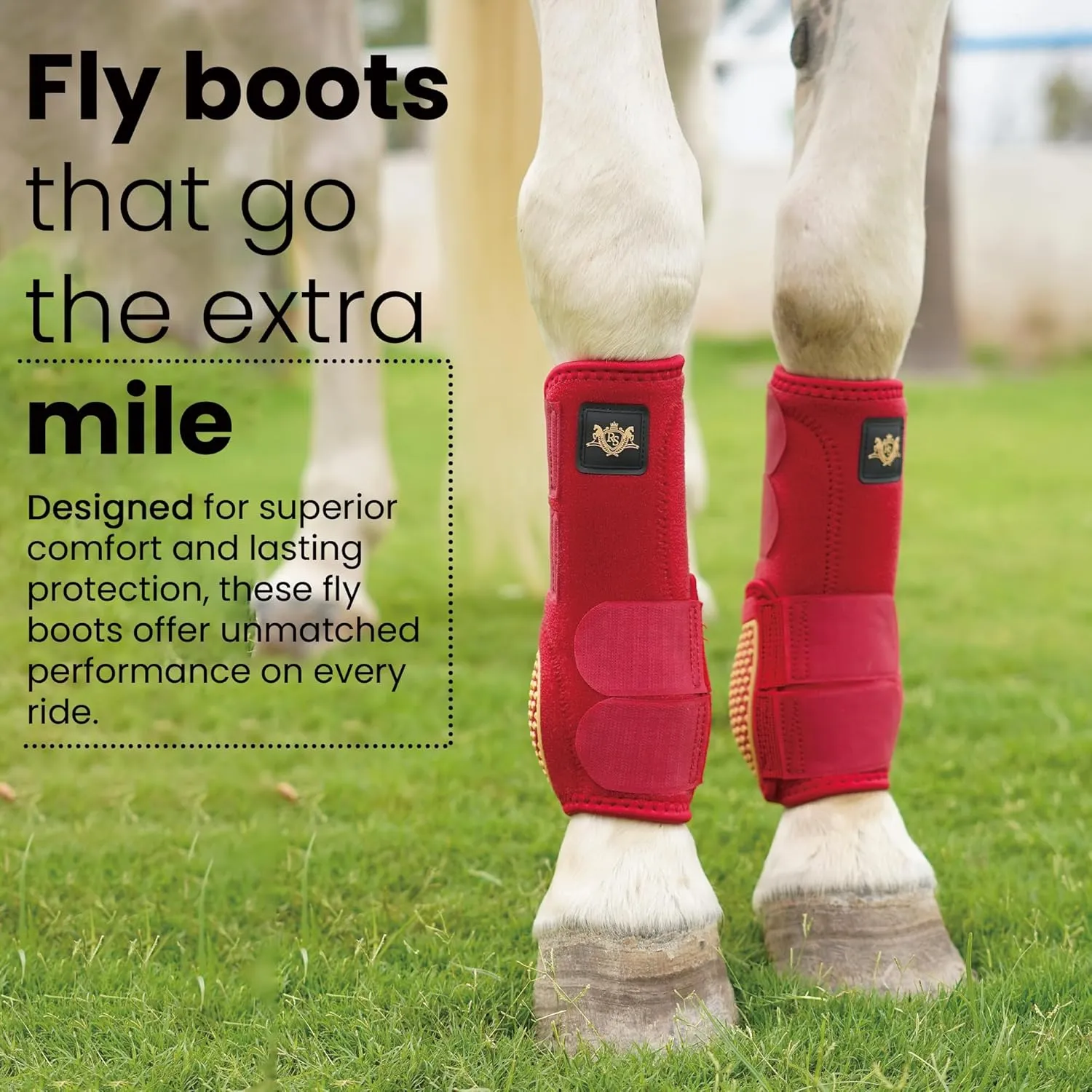 RS Premium Design Gold Line Horse Boots | Comfortable, Protective & Shock Absorber | Sport Boots for Horses Best for Jump Training | Ok Fabric 1682D Provides Ultimate Flexibility