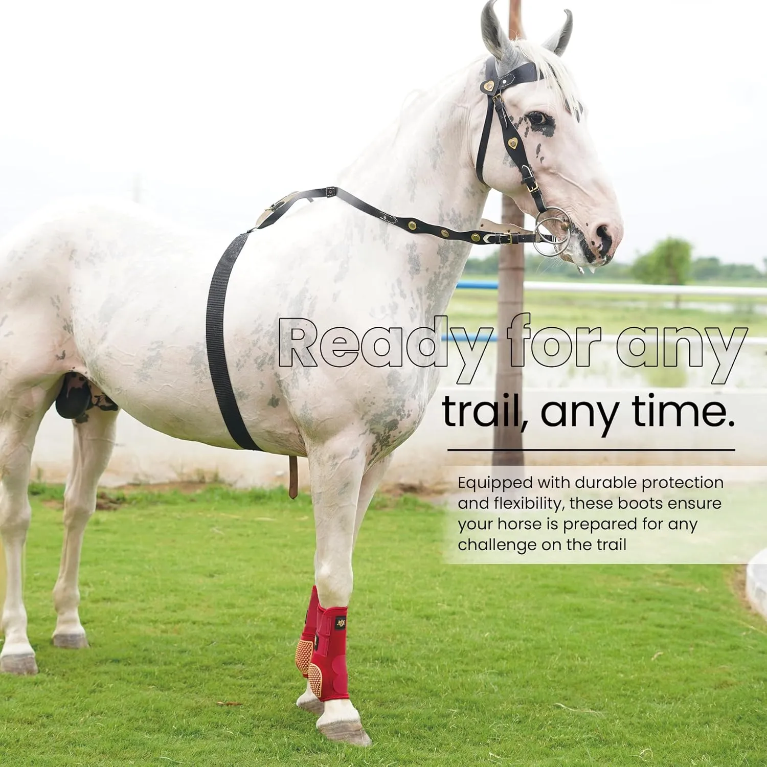 RS Premium Design Gold Line Horse Boots | Comfortable, Protective & Shock Absorber | Sport Boots for Horses Best for Jump Training | Ok Fabric 1682D Provides Ultimate Flexibility